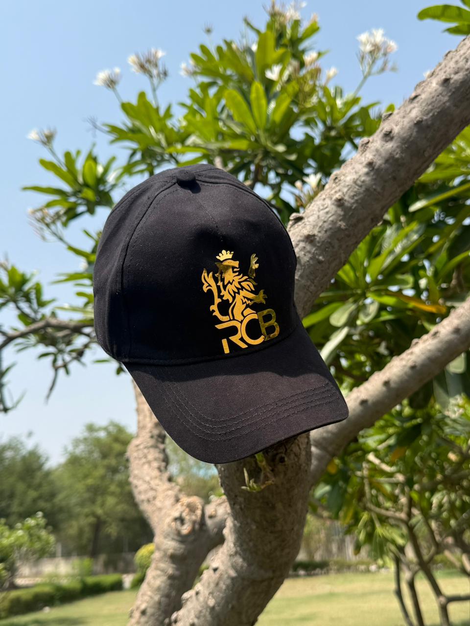 Product View 2