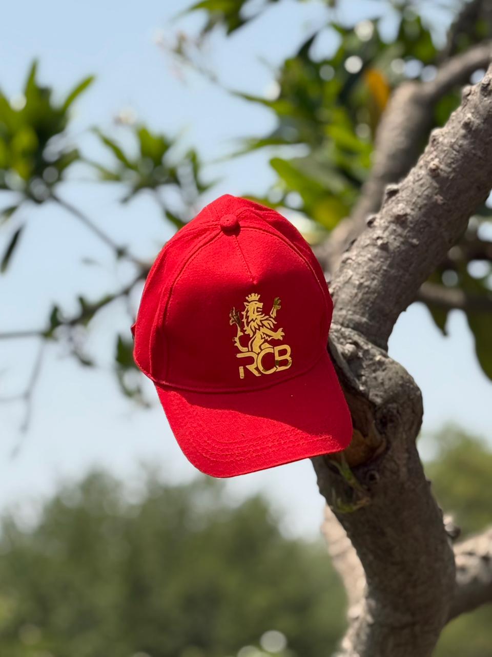Product View 5
